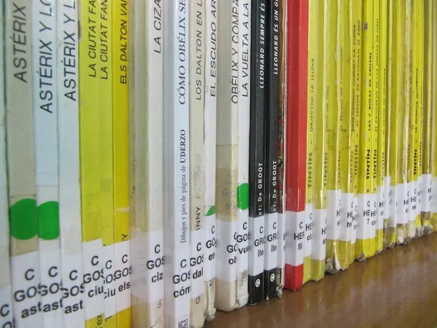 concepto de tejuelo en la encuadernacion de libros - Cómo se llama la etiqueta de los libros de la biblioteca