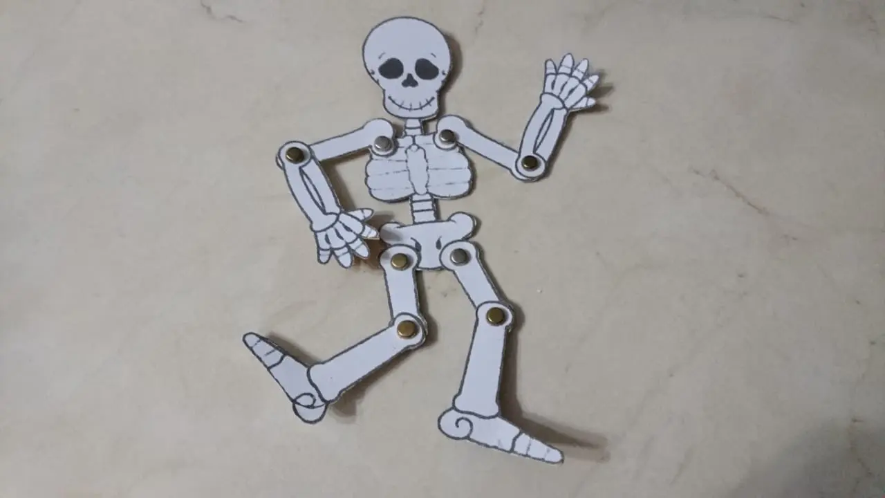 encuadernado para articular esqueleto - Que le da la flexibilidad a los huesos